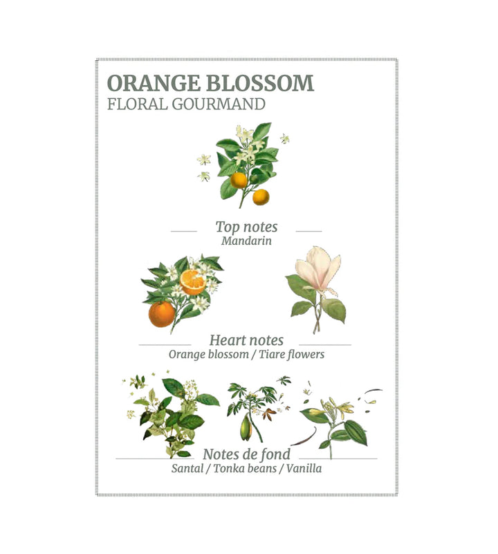 Panier des Sens Precious Orange Blossom Body Lotion