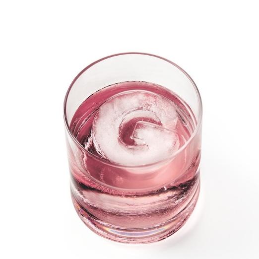 Drinks Plinks G is for Gin Ice cube Tray