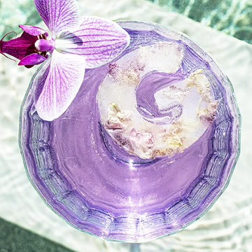 Drinks Plinks G is for Gin Ice cube Tray